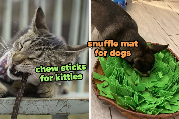 cat using chew stick / reviewer's dog using snuffle mat