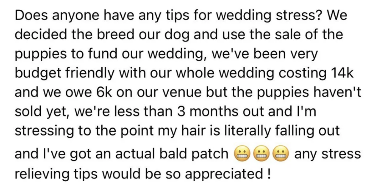 bride saying she decided to breed their dog to sell puppies to pay for the wedding