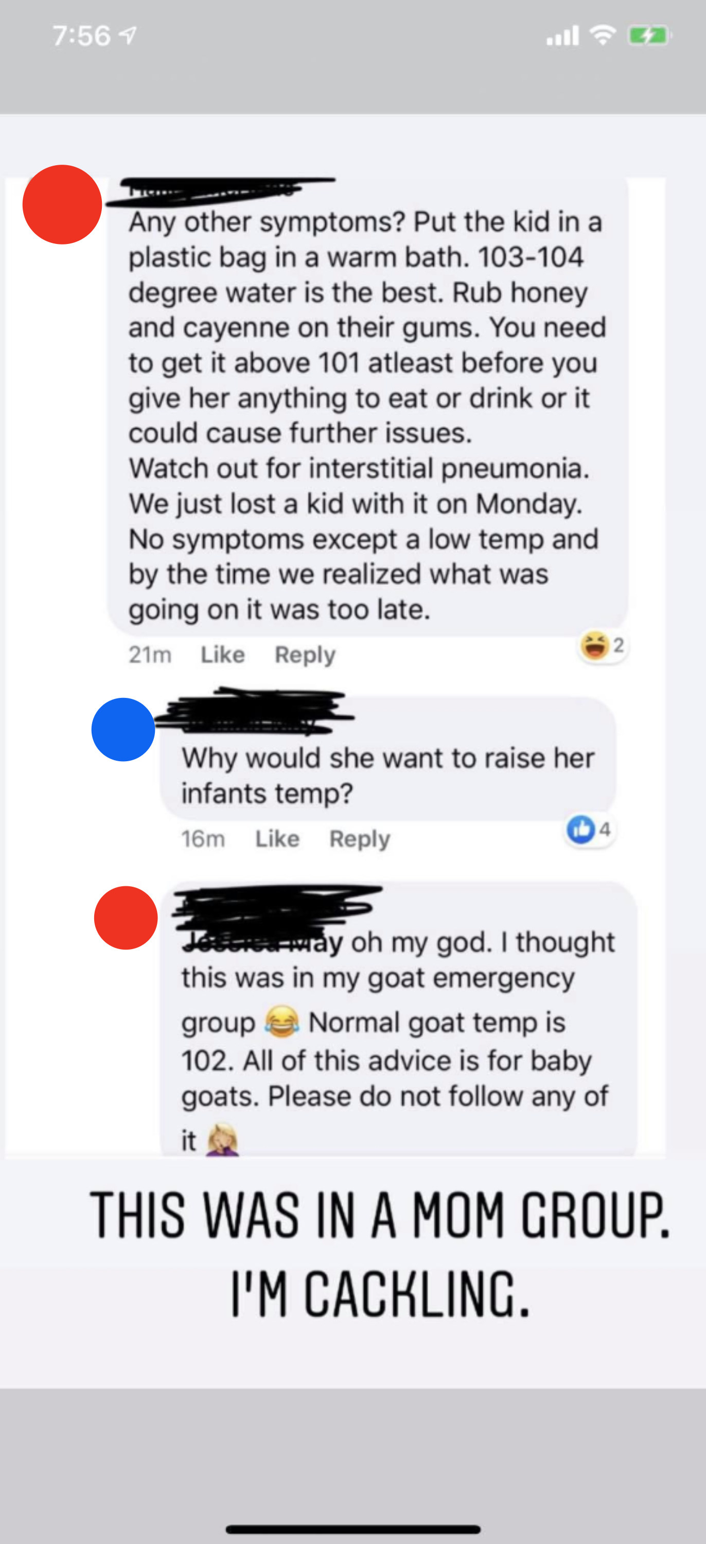 person accidentally giving advice for a baby goat in a mom group