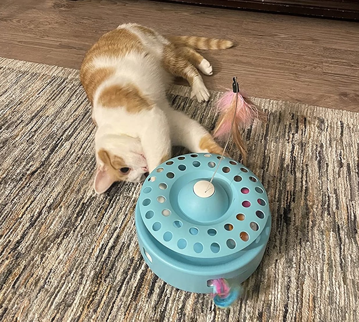 reviewer photo showing their cat playing with the 3-in-1 toy