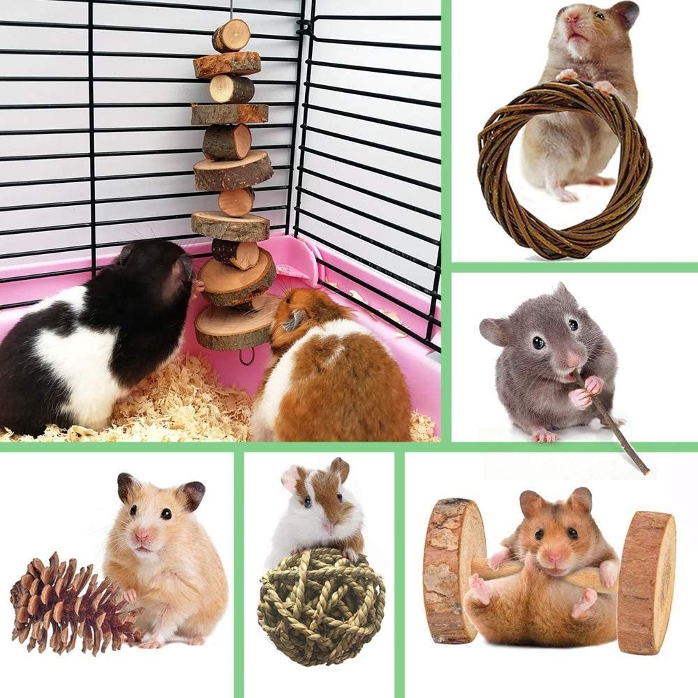 different rodents playing with the various toys included in the set
