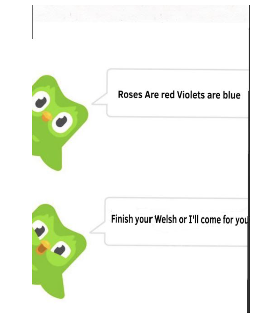 Meme where Duolingo owl says &quot;roses are red, violets are blue, finish your Welsh or I&#x27;ll come for you.&quot;