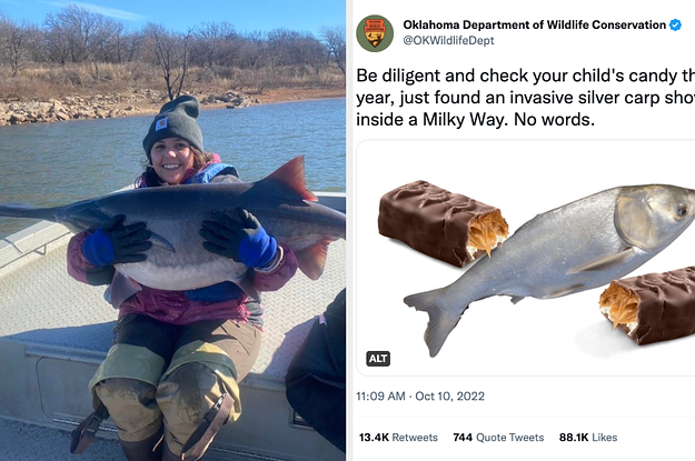 The Oklahoma Department Of Wildlife Conservation TikTok Account