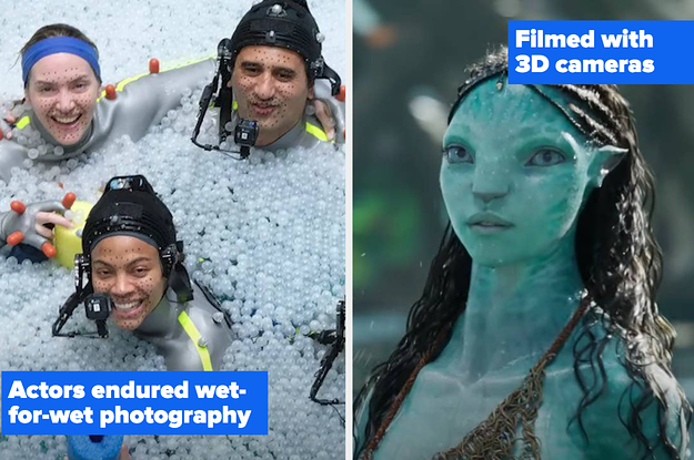 19 BTS Facts About “Avatar: The Way Of Water”