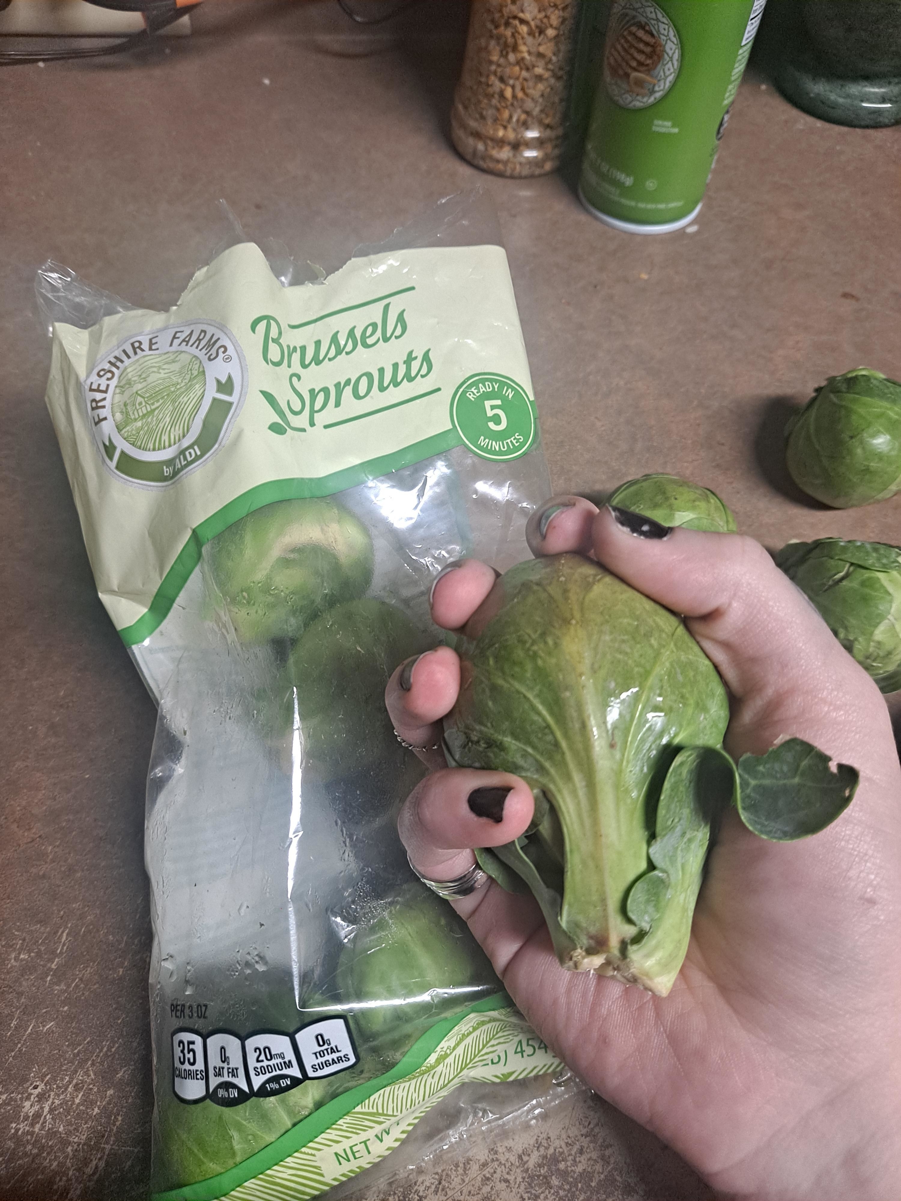 A giant Brussels sprout