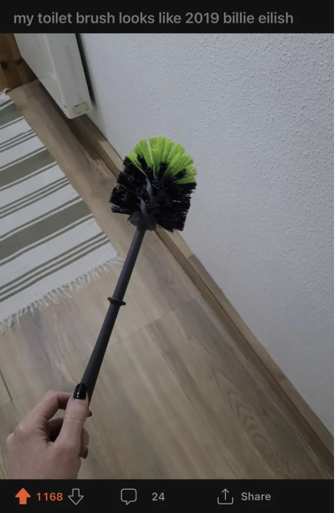 &quot;My toilet brush looks like 2019 Billie Eilish&quot;