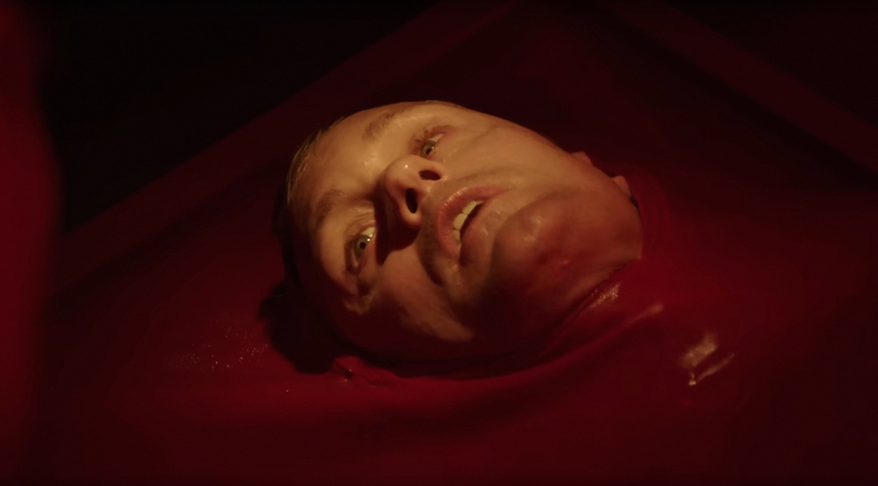 Alex&#x27;s face in what looks like a pool of blood