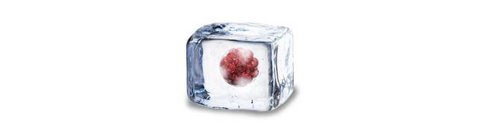 An illustration shows a blood-red spherical organism inside an ice cube