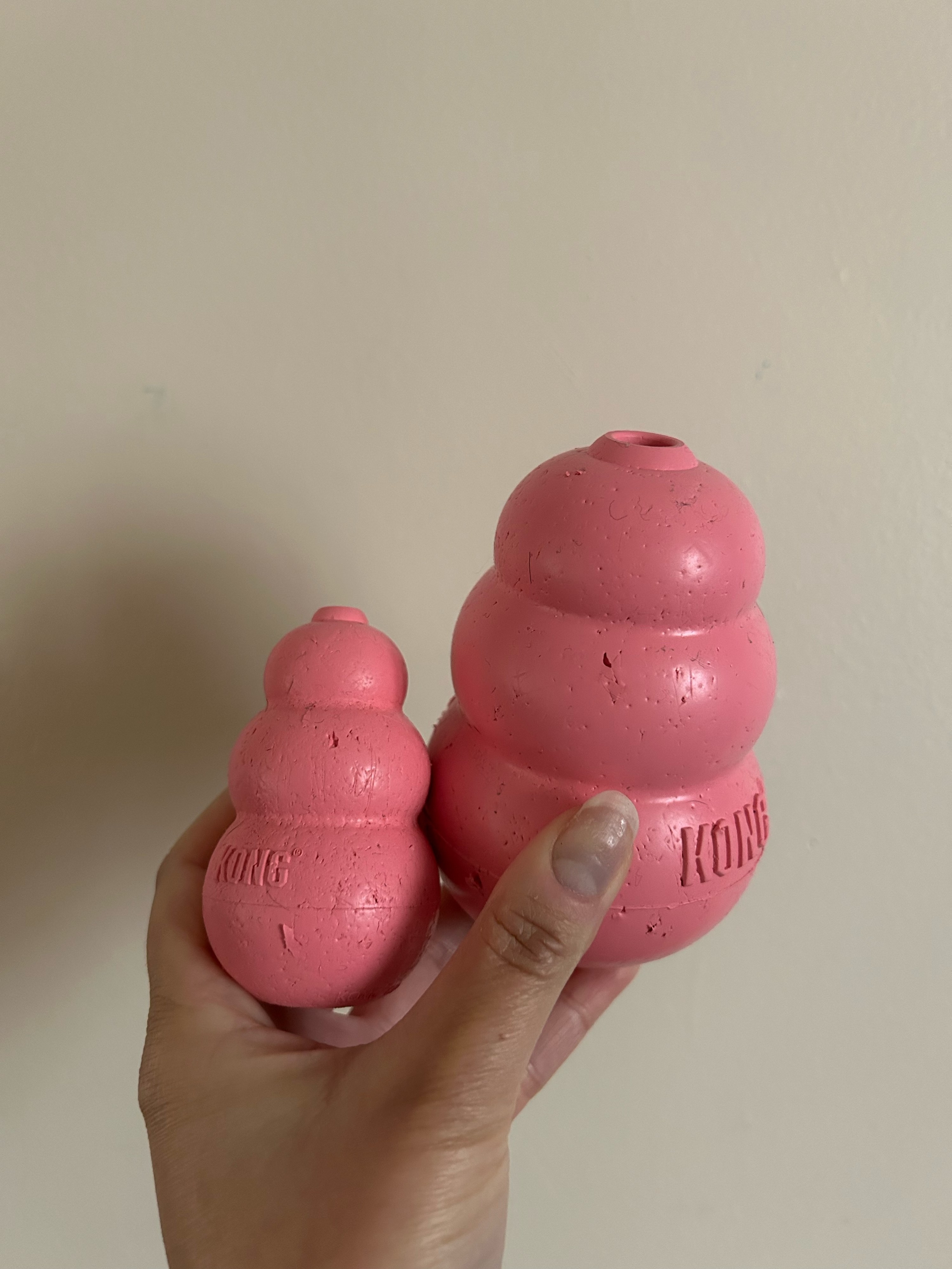 Treat Dispensing Dog Toy Review Entertaining And Under 10