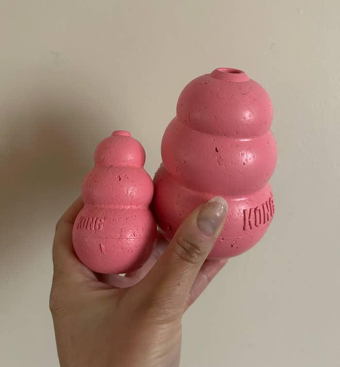 The writer holding two different sized Kong toys in pink