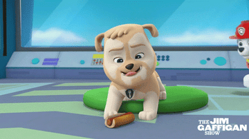 A dog eating a treat