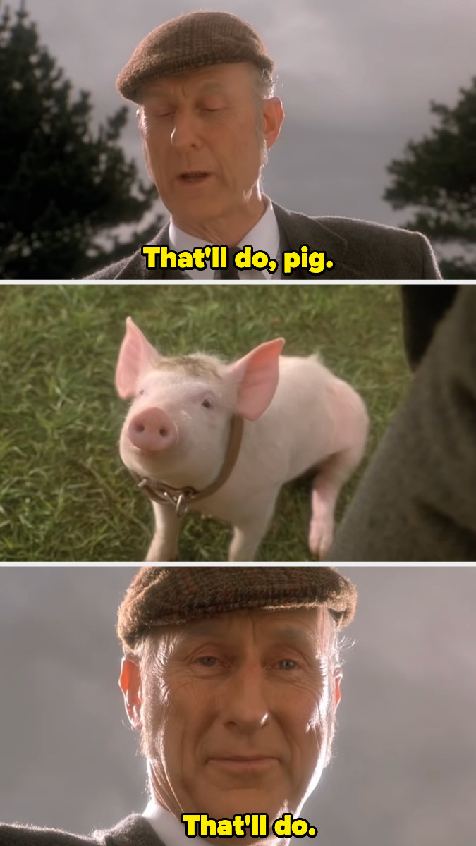 man looking down at a pig with a collar on saying that&#x27;ll do pig