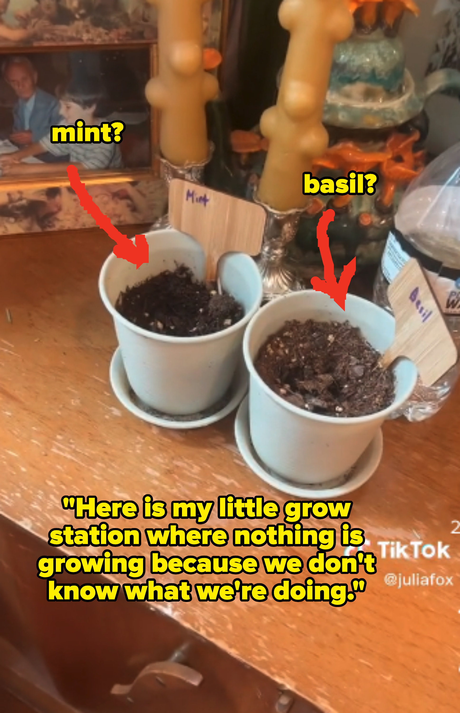 Two pots of soil sit next to each other with the one of the left labeled &quot;mint&quot; and the one on the right labeled &quot;basil&quot;