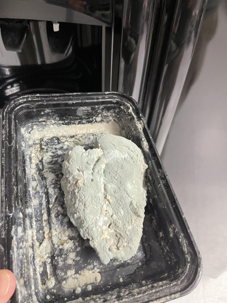 A very old and moldy piece of chicken