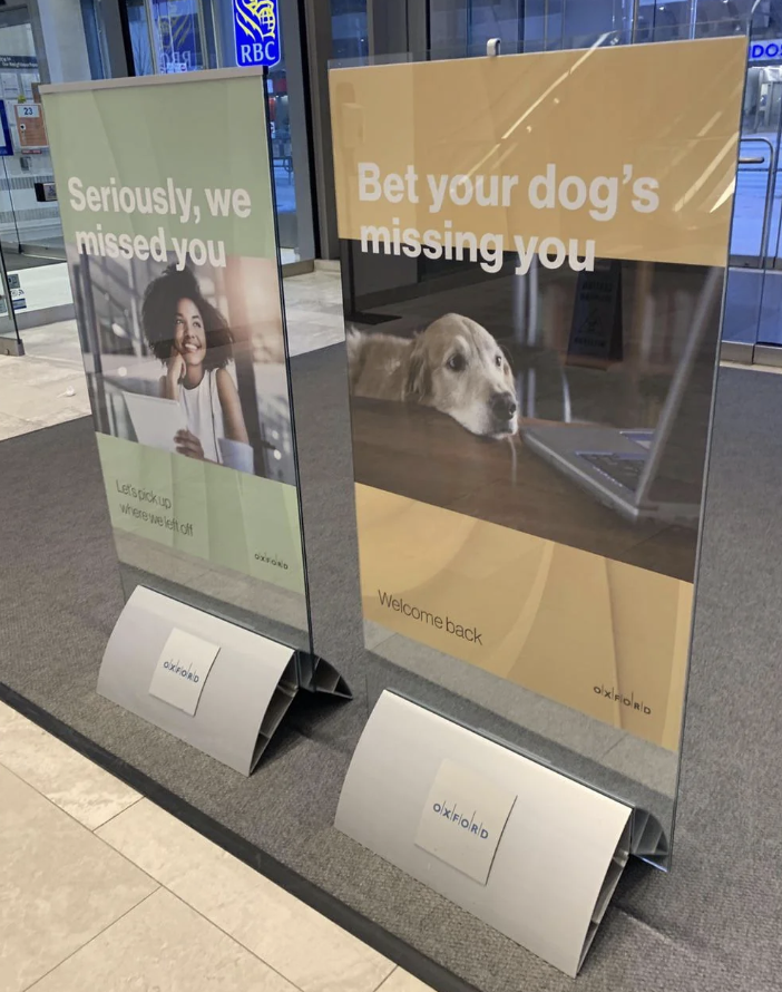 One sign says &quot;Seriously, we missed you&quot; and the other says &quot;Bet your dog&#x27;s missing you&quot; with a sad dog looking at a laptop