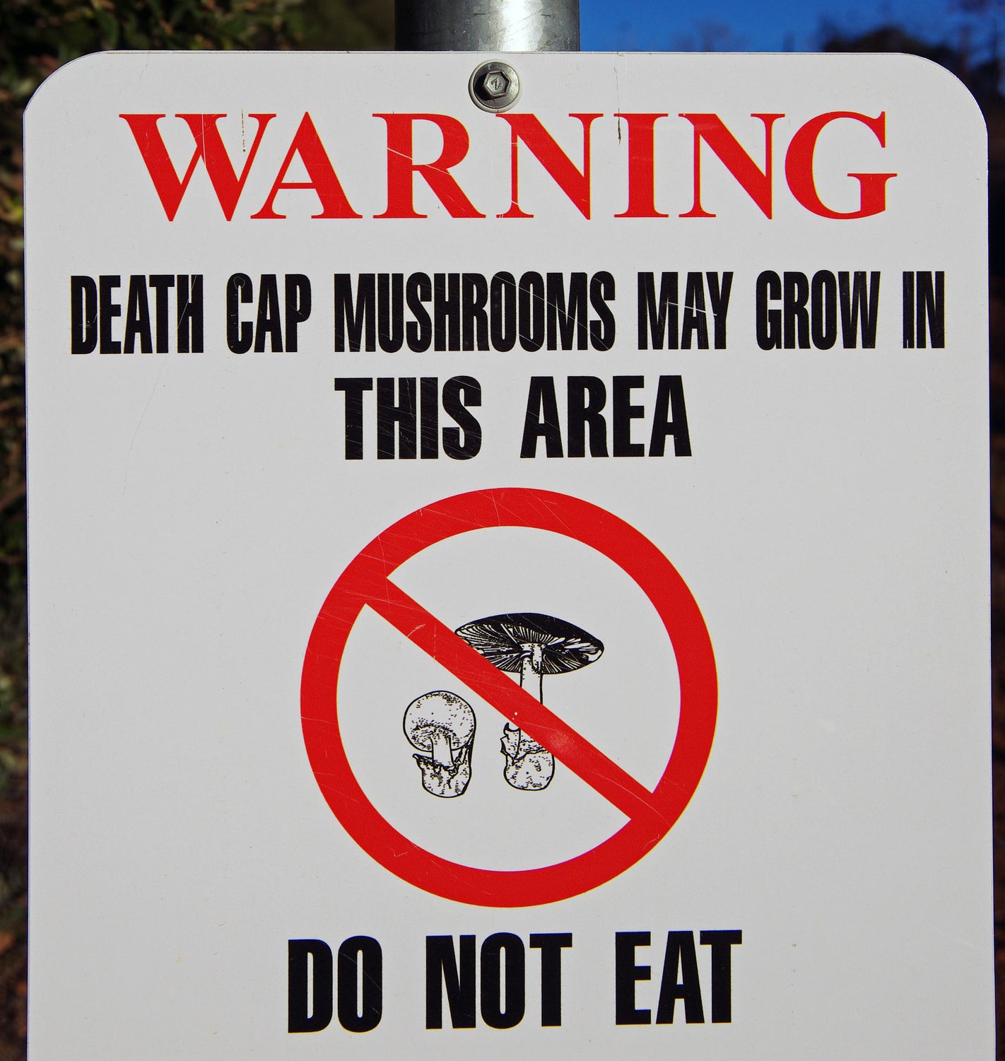 warning sign saying death cap mushrooms may grow in this area do not eat
