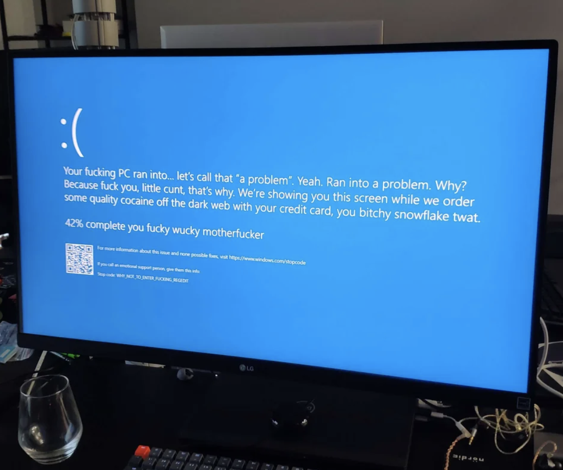 Sad emoji with &quot;Your fucking PC ran into, let&#x27;s call that &#x27;a problem,&#x27; why? Because fuck you, that&#x27;s why; we&#x27;re showing you this screen while we order some quality cocaine off the dark web with your credit card&quot;