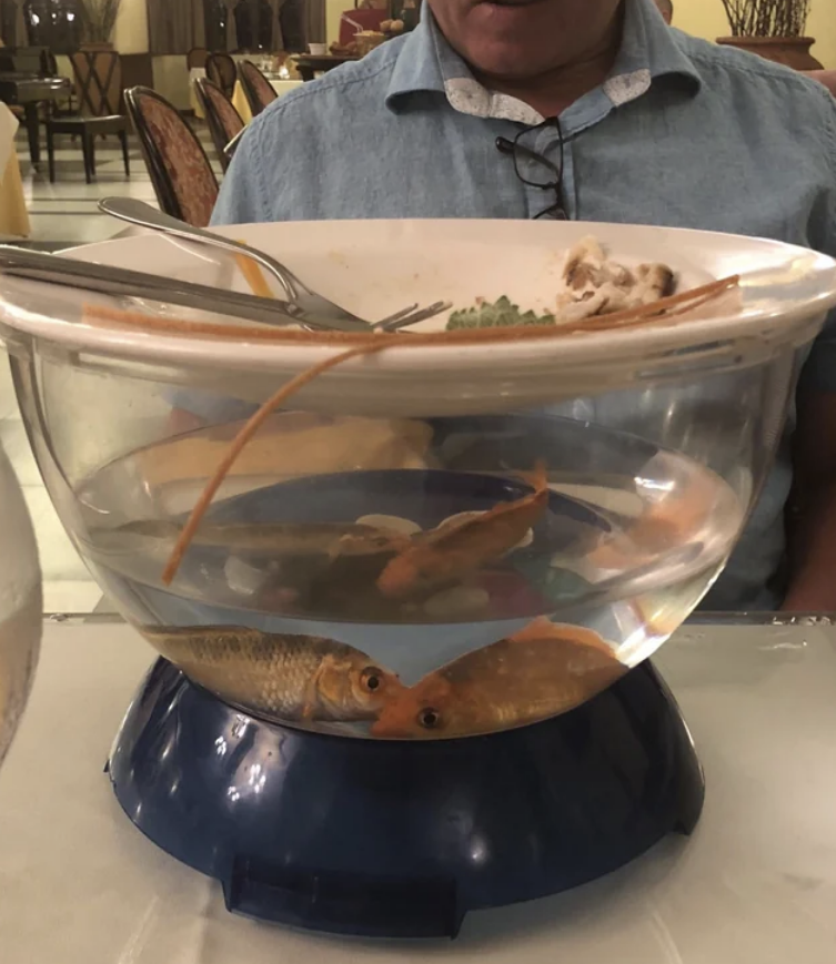 A plate on top of a fish bowl with goldfish in it