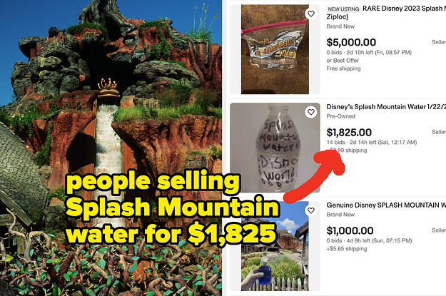 https://img.buzzfeed.com/buzzfeed-static/static/2023-01/26/15/campaign_images/e470a0b884c3/splash-mountain-closed-at-disney-world-and-disney-3-6310-1674745528-7_dblbig.jpg