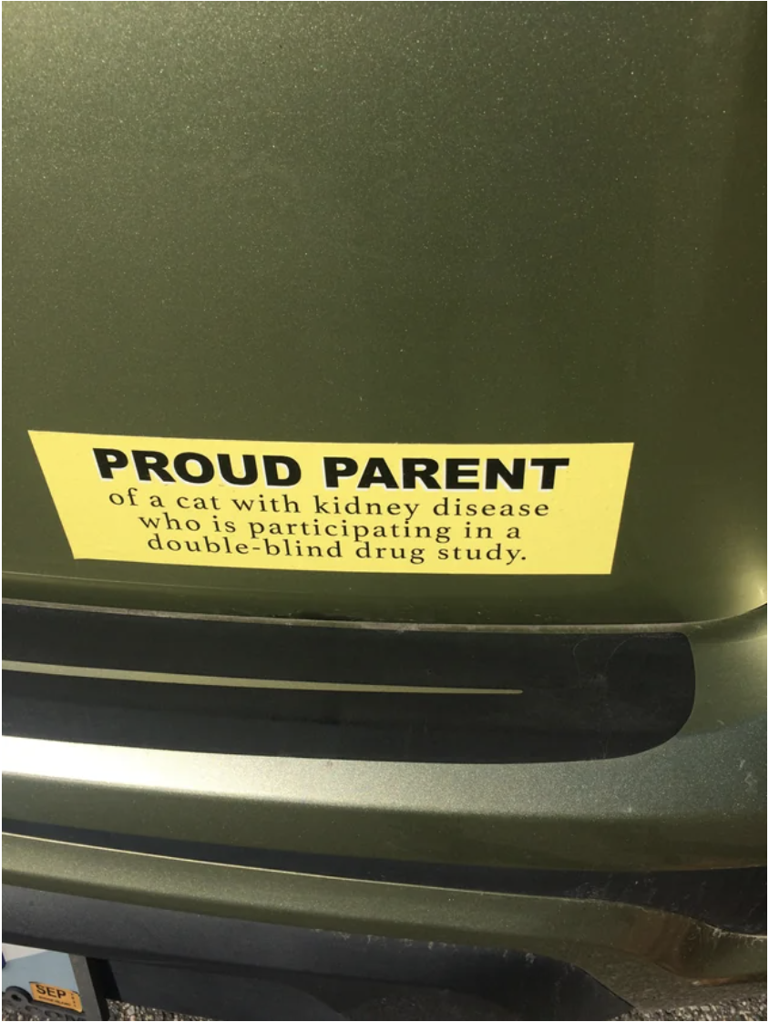 sticker that reads &quot;proud parent of a cat with kidney disease who is participating in a double-blind drug study.&quot;