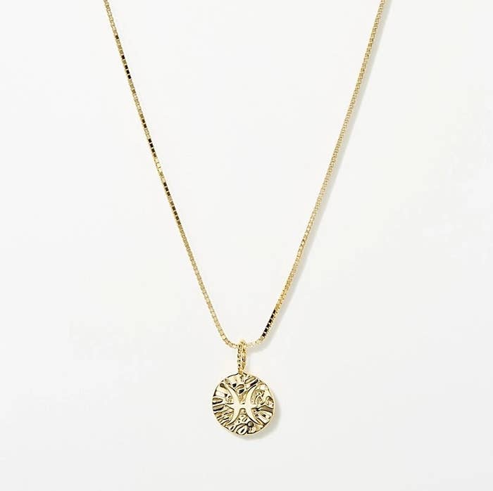 the necklace with the pisces zodiac symbol on it