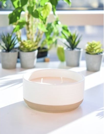 the candle in salted coconut and mahogany