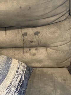 Wet marks on the back of a sofa that form a face with eyes, nose, and mouth