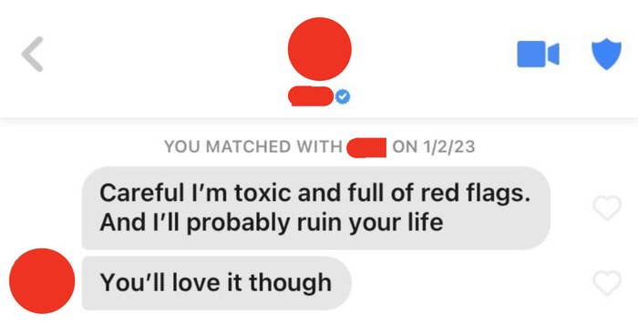 &quot;careful i&#x27;m toxic and full of red flags and i&#x27;ll probably ruin your life you&#x27;ll love it though