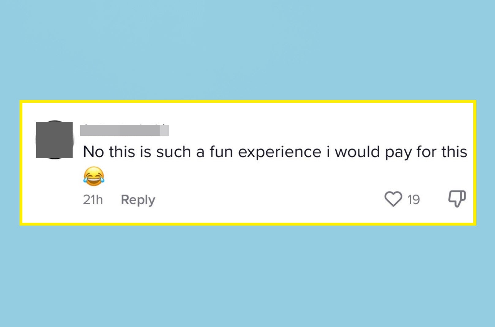 Comment saying &quot;No this is such a fun experience i would pay for this&quot; with a laughing emoji