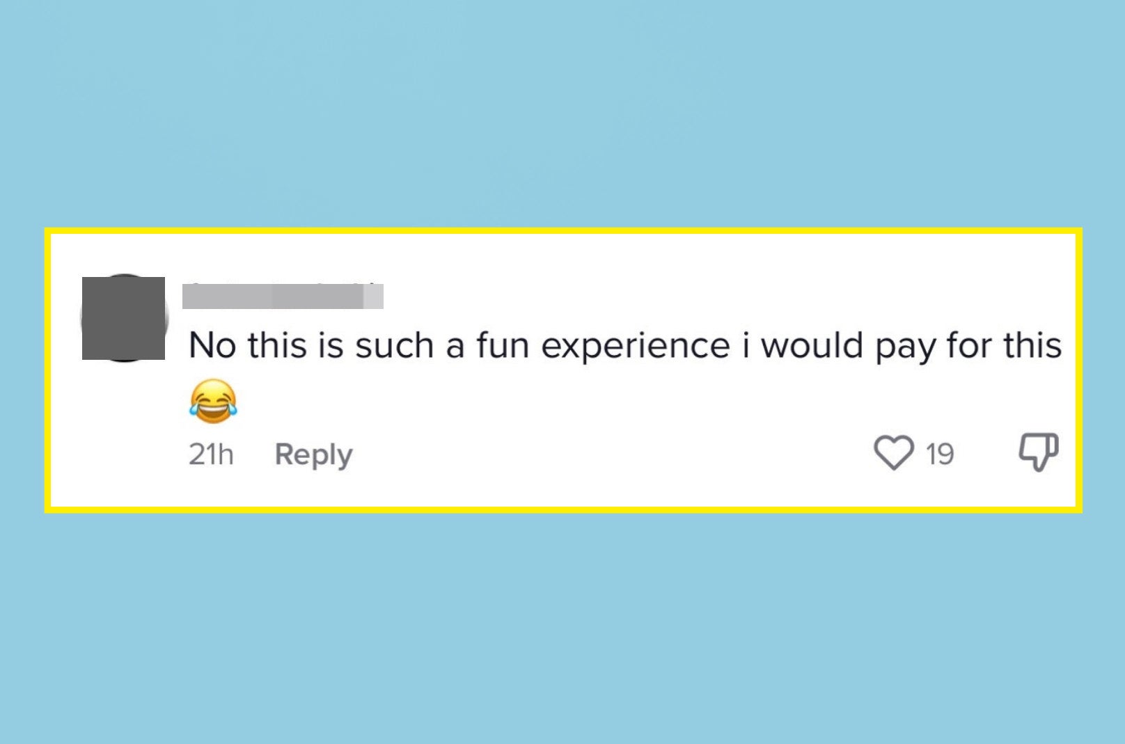 Comment saying "No this is such a fun experience i would pay for this" with a laughing emoji
