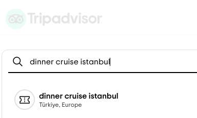 Searching "dinner cruise istanbul" on Tripadvisor
