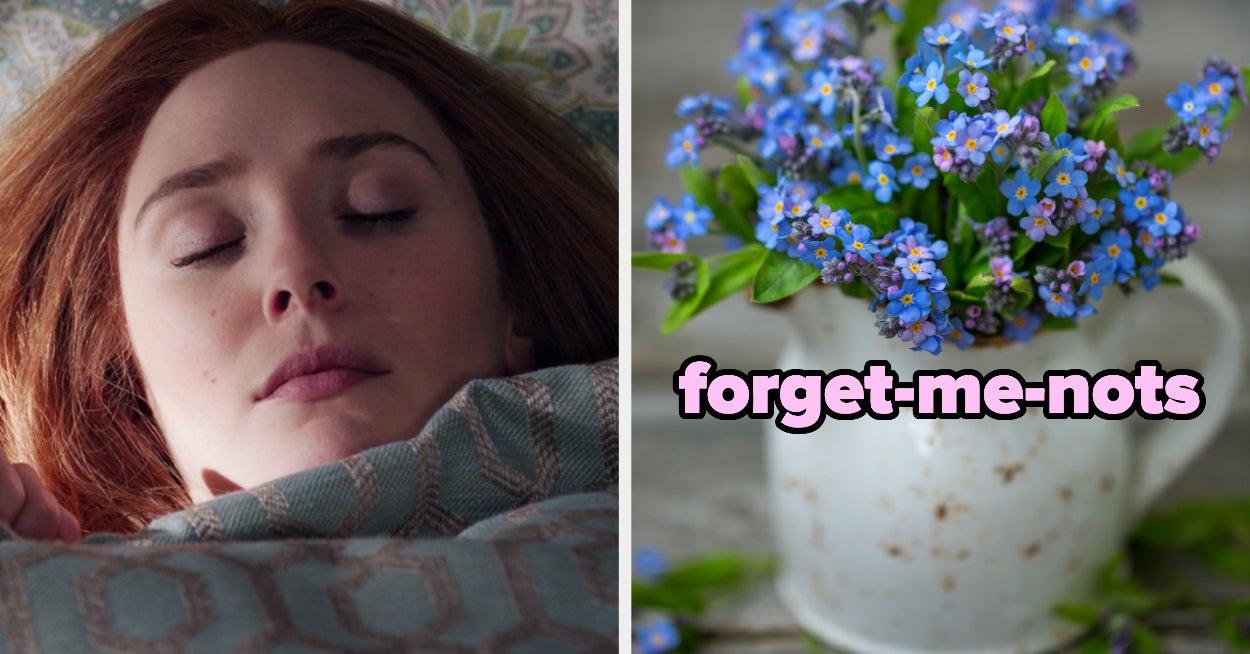 Unique Flower Personality Quiz