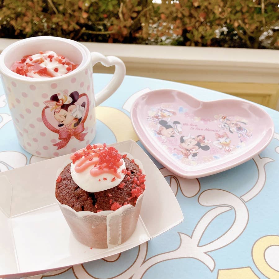 ディズニーランド】可愛すぎる「限定セット」見つけた…！これゲット 