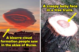a strange cloud shaped like an eye and the markings inside a tree trunk that look like a baby's face