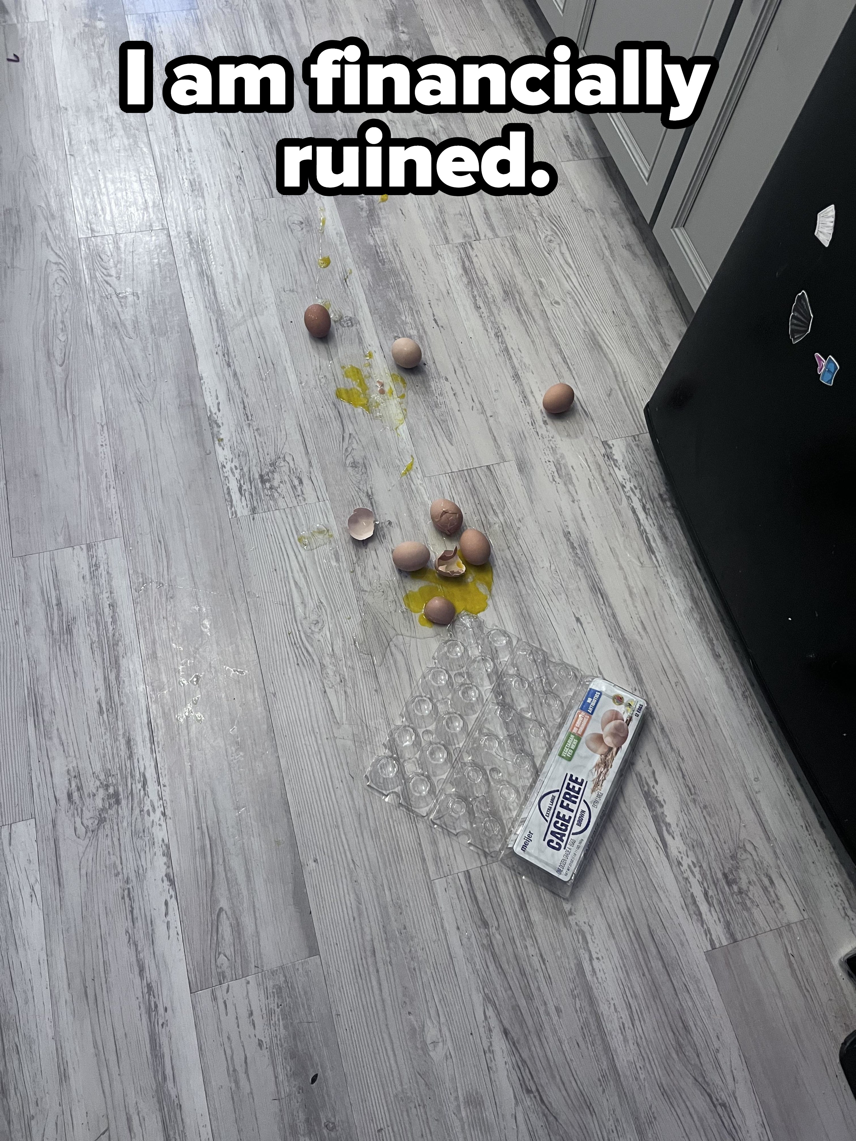 A carton of broken eggs dropped on the kitchen floor