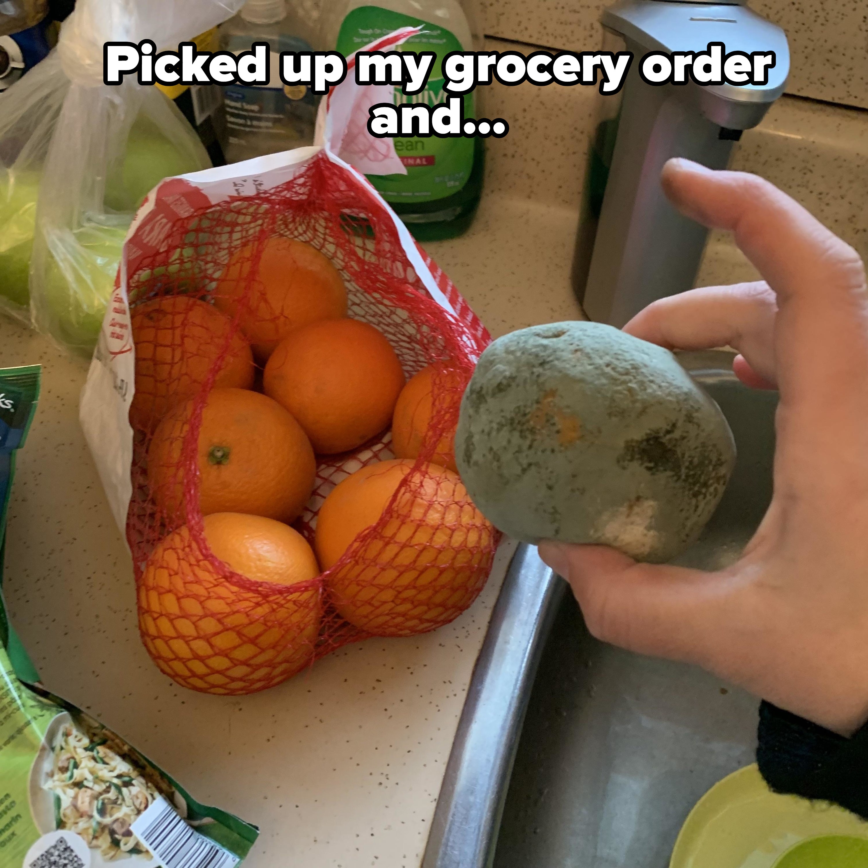 An orange in a bag covered in green mold