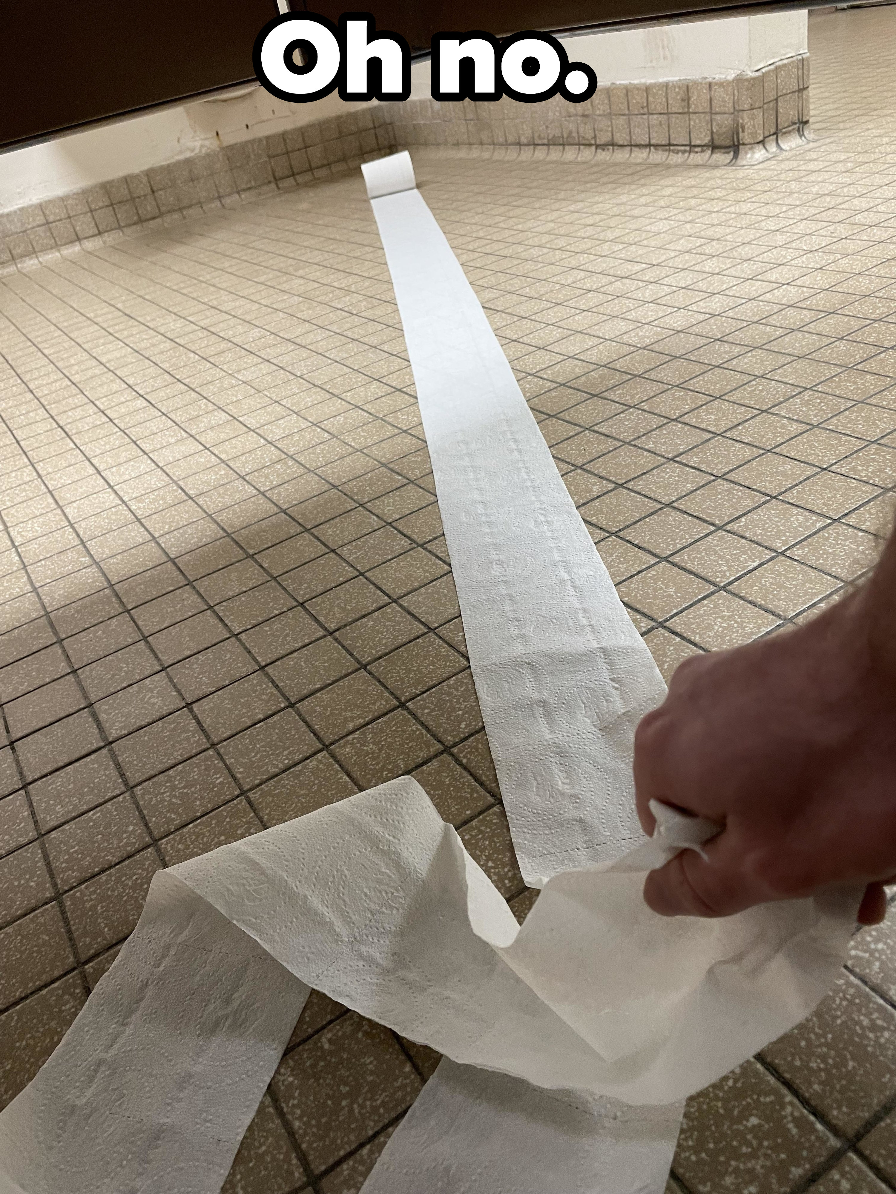 Toilet paper that rolled away from a person