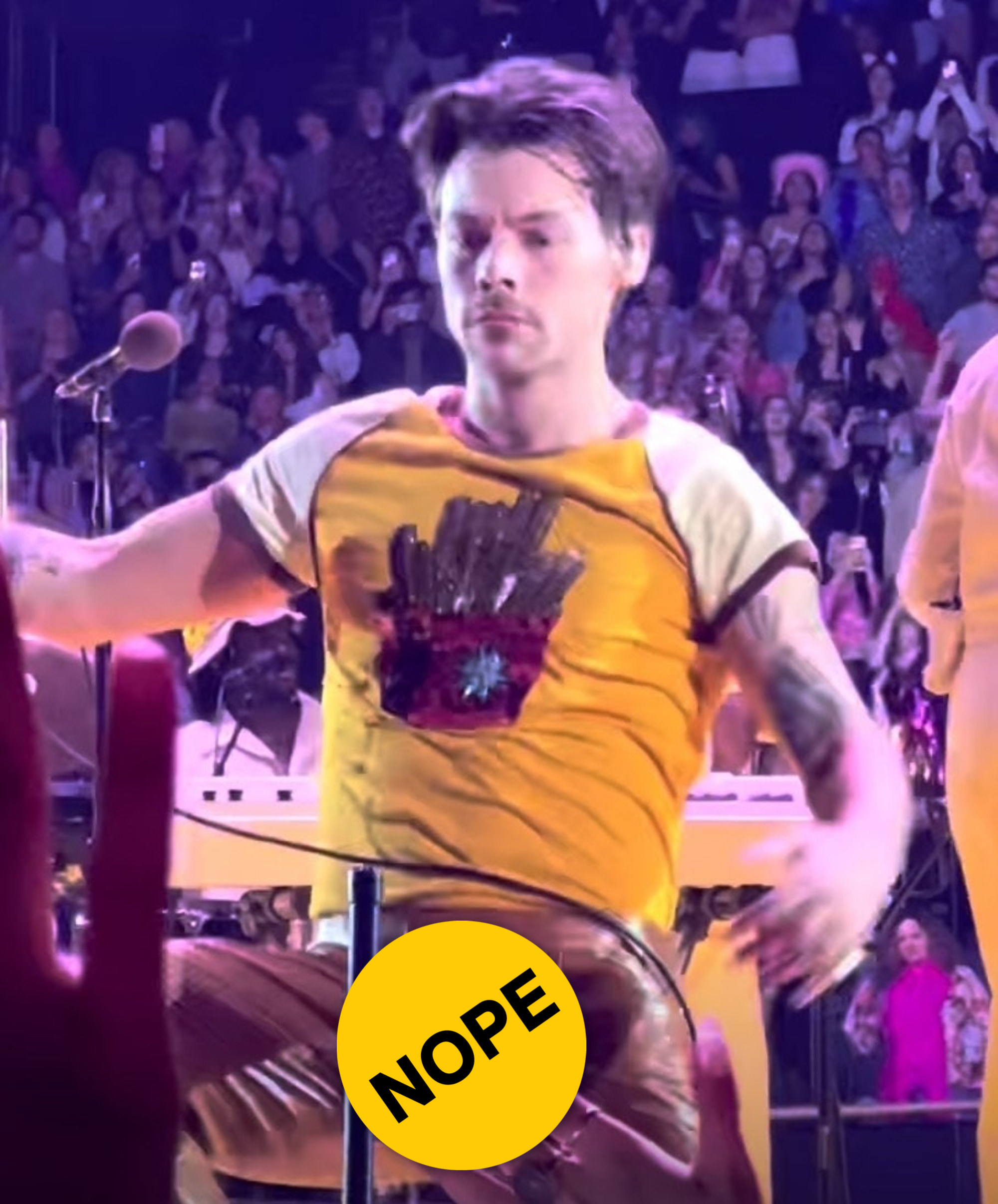 Harry onstage looking stone-faced and a &quot;Nope&quot; sticker covering his crotch