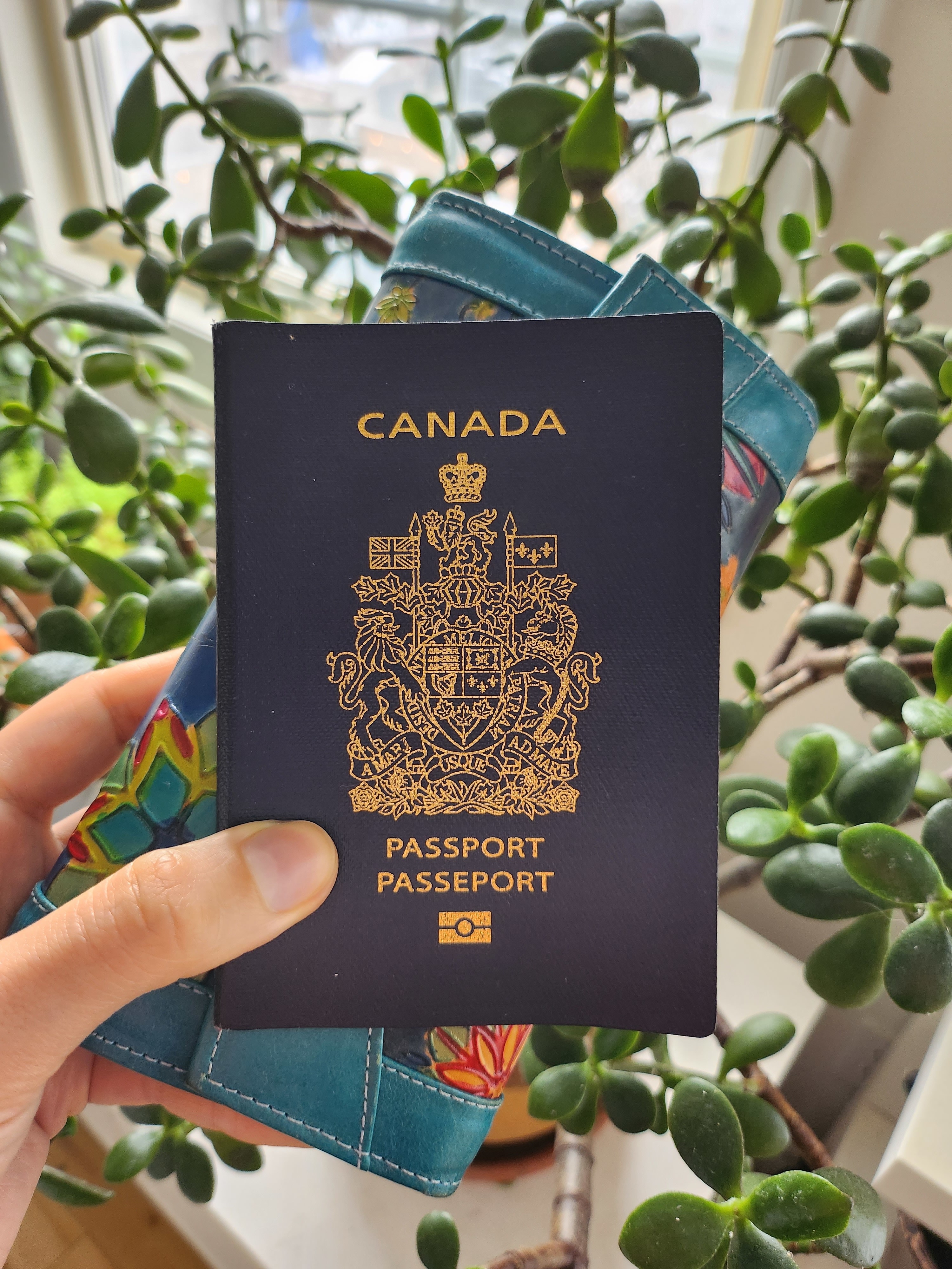 brittany holding up a canadian passport