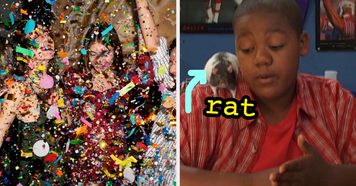 Plan Party Reveal Inner Rodent Quiz