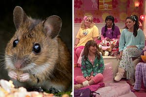 On the left, a cute mouse, and on the right, Nasim Pedrad. Aidy Bryant, Sasheer Zamata, and Cecily Strong in an SNL sleepover sketch