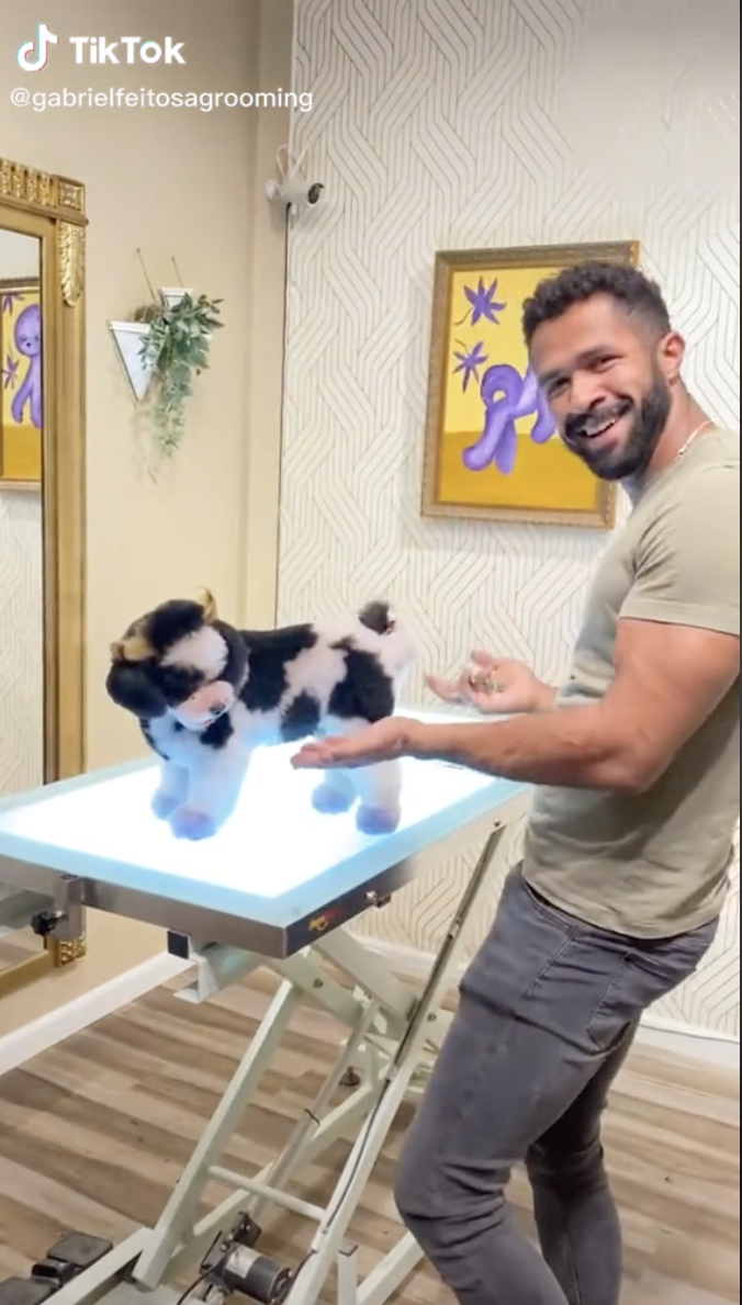 Viral Dog Groomer Turns Pets Into Other Animals