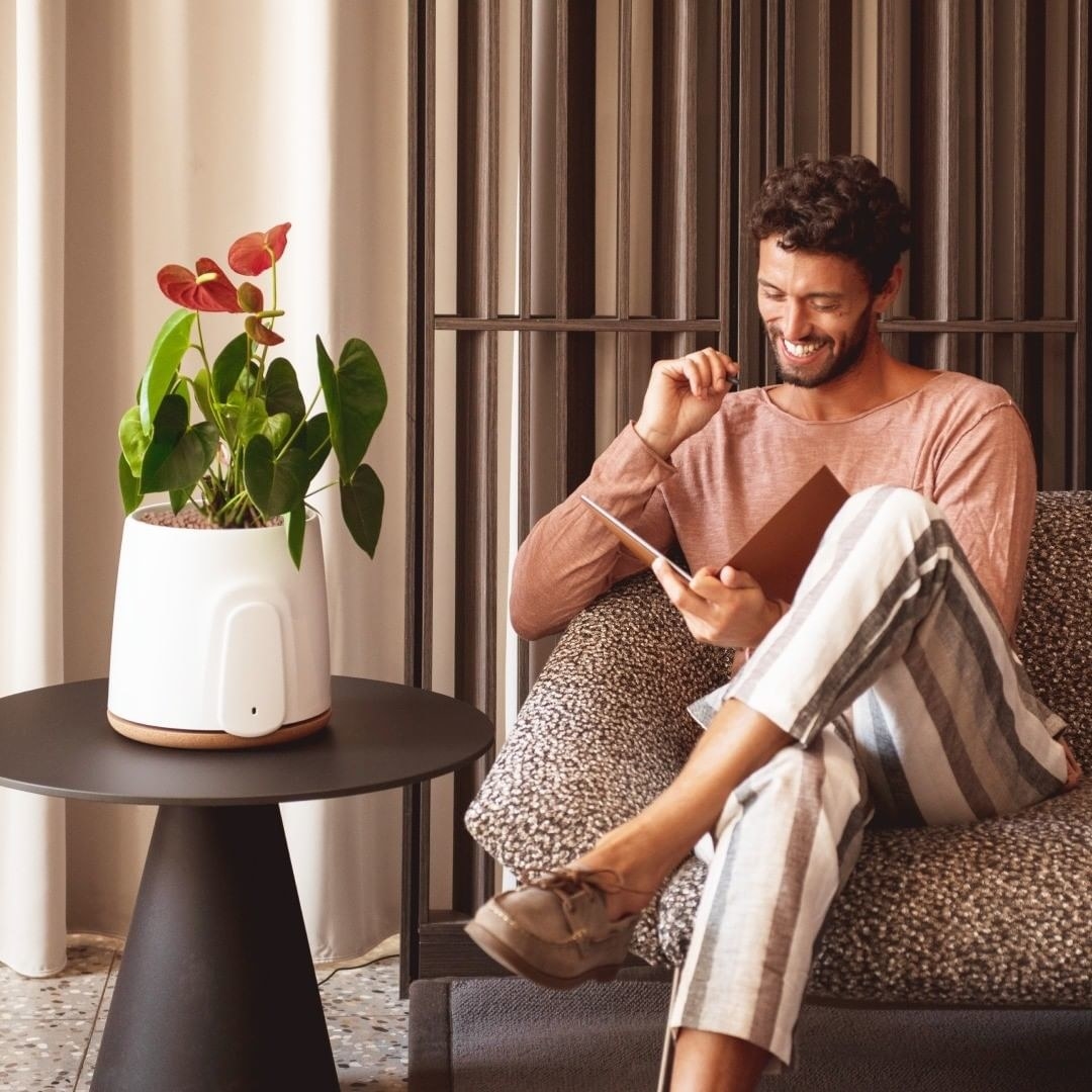 a smiling person sitting on a couch next to the air purifier that looks like a planter
