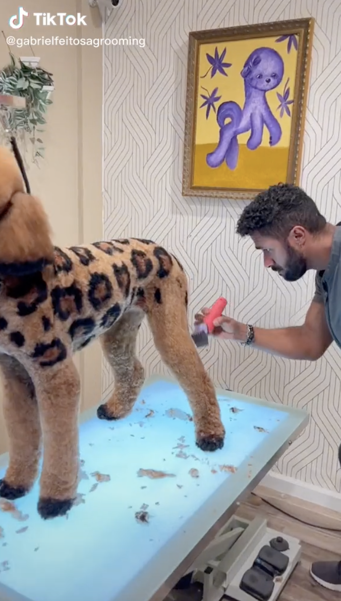 Viral Dog Groomer Turns Pets Into Other Animals - 70