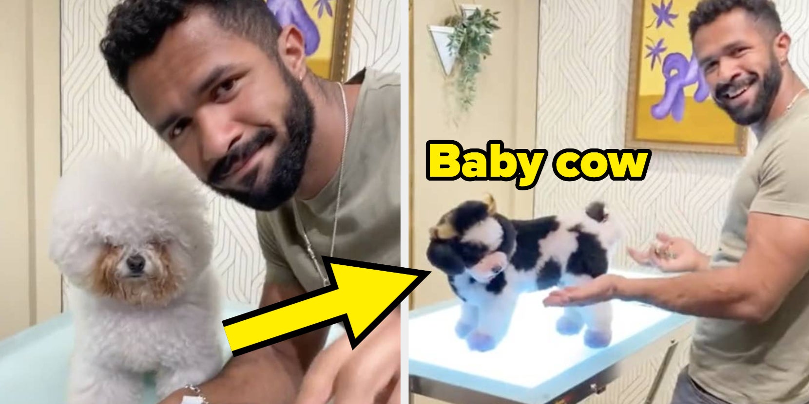 Viral Dog Groomer Turns Pets Into Other Animals - Vimarsana News
