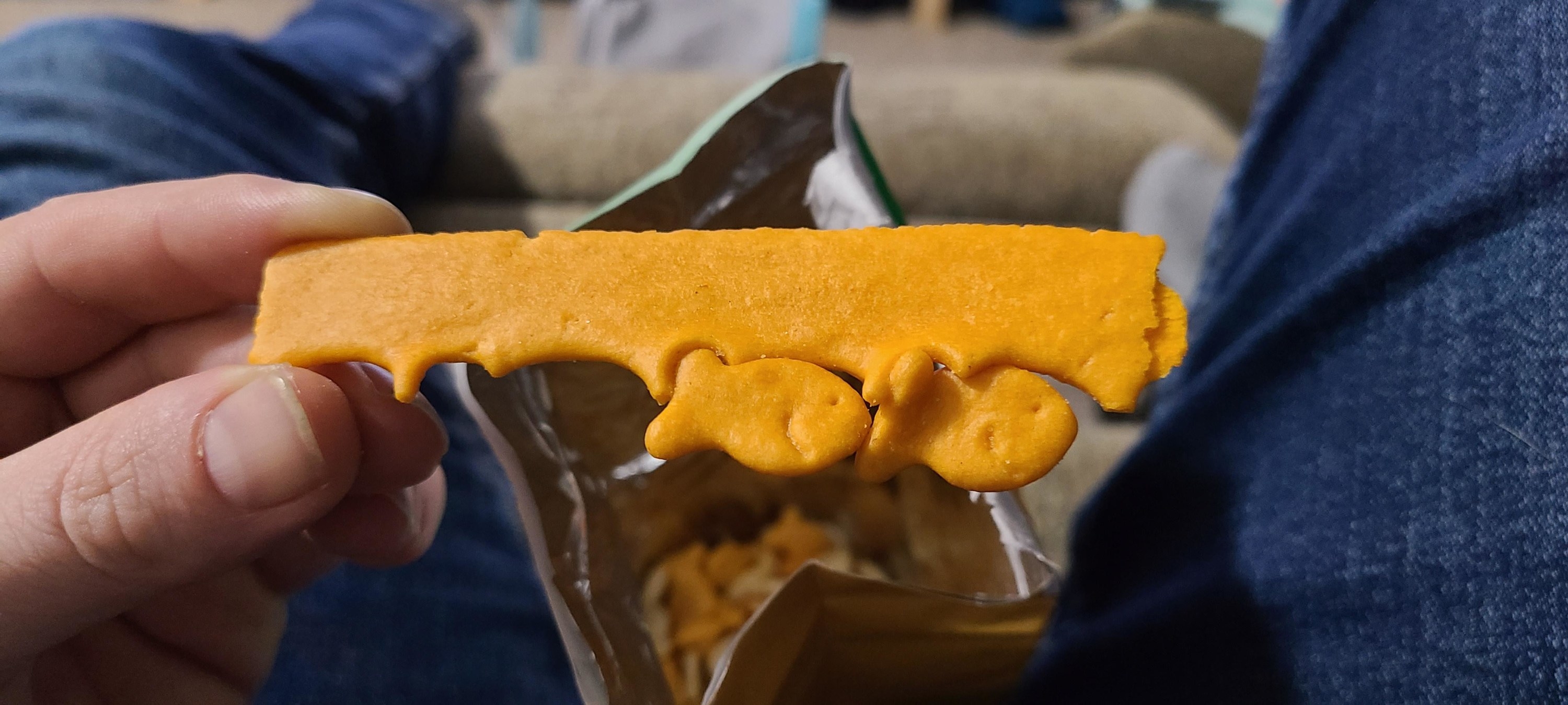 a long piece of goldfish cracker that&#x27;s shaped like a rectangle, with 2 goldfish cracker pieces still attached