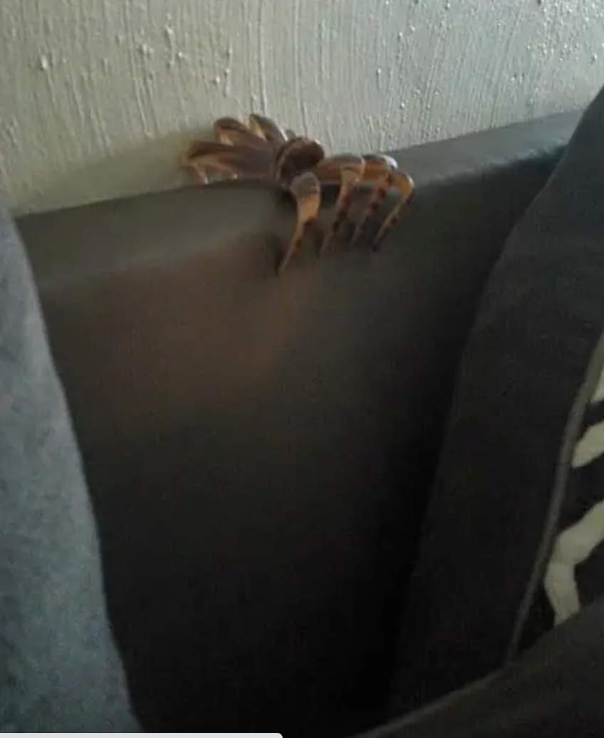 a hairclip on the top of a bedframe