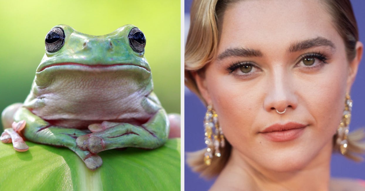 Are These Famous People More Like A Rat Or A Frog?
