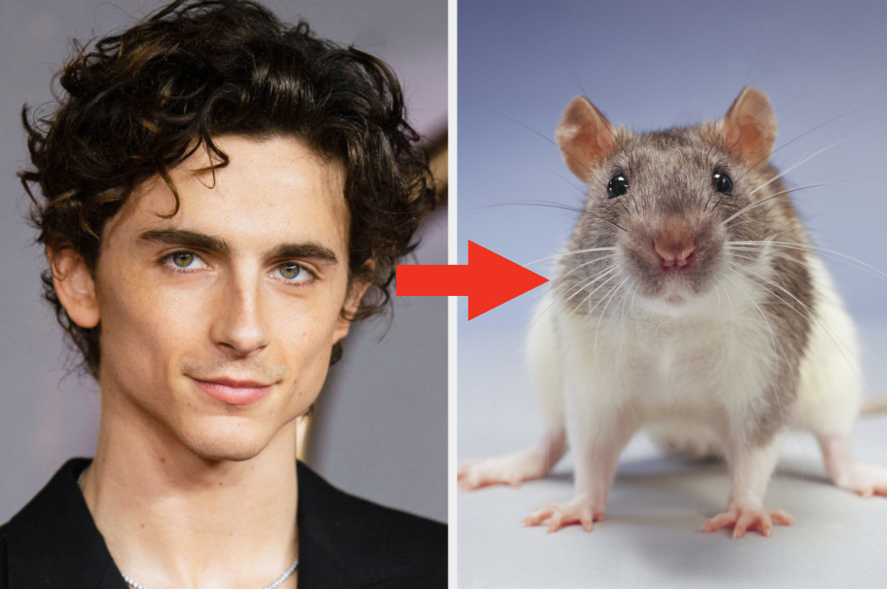 Are These Famous People More Like A Rat Or A Frog?