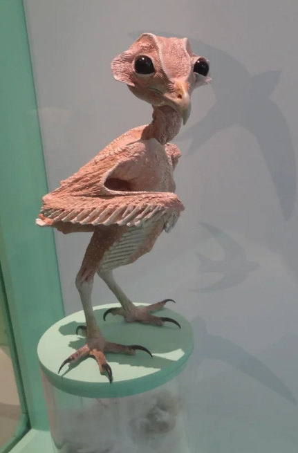 a very scrawny bird with bead like eyes